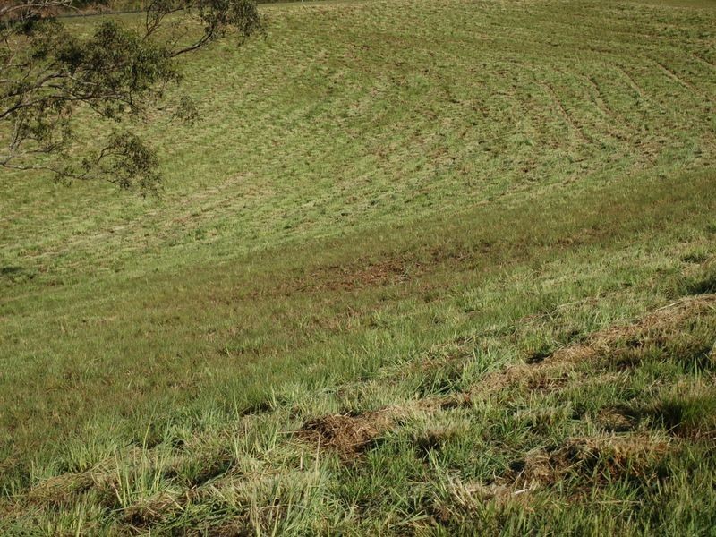 Lot 8 Peppertree Grove, Congarinni NSW 2447