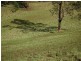 Lot 8 Peppertree Grove, Congarinni NSW 2447