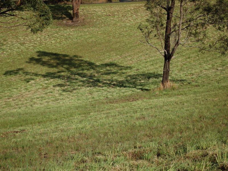 Lot 8 Peppertree Grove, Congarinni NSW 2447