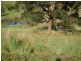 Lot 8 Peppertree Grove, Congarinni NSW 2447
