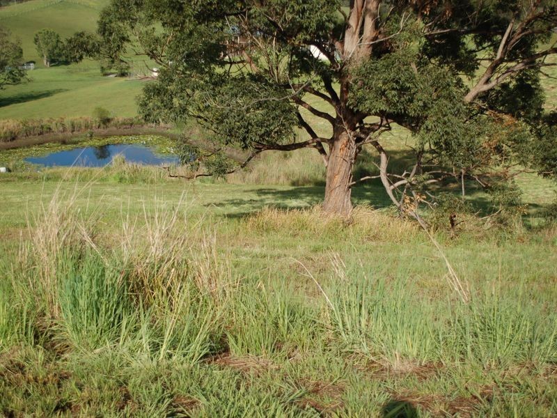 Lot 8 Peppertree Grove, Congarinni NSW 2447