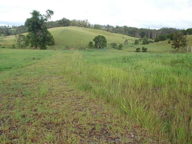 Lot 6 Peppertree Grove, Congarinni NSW 2447