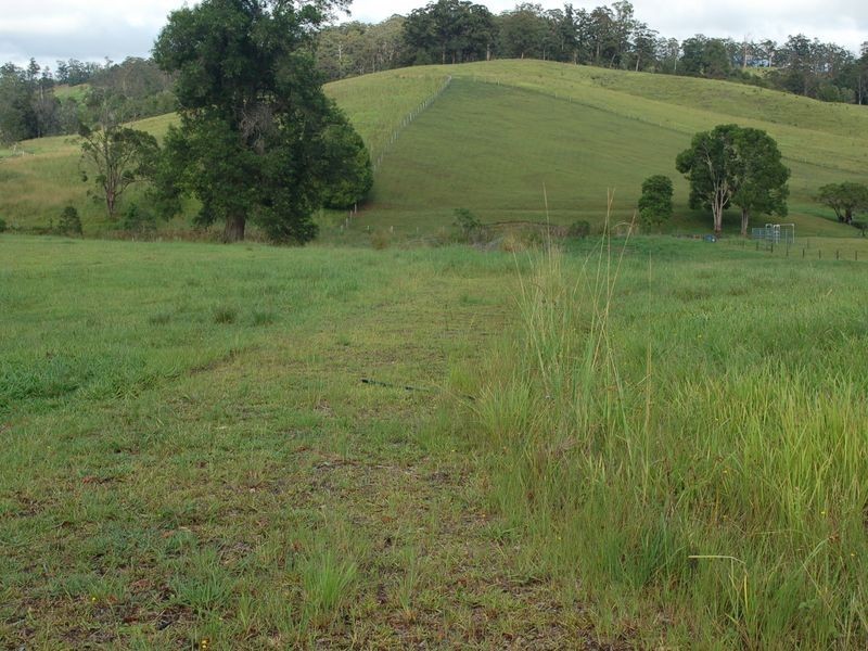 Lot 6 Peppertree Grove, Congarinni NSW 2447