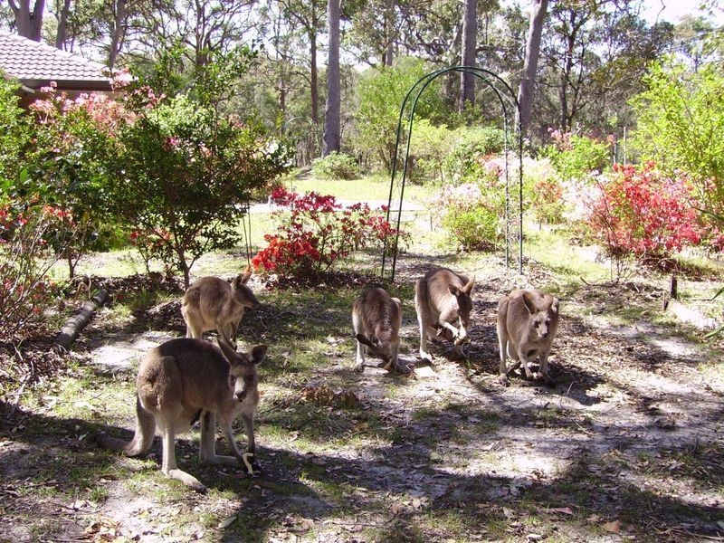 332 Hungry Head Road, Urunga NSW 2455