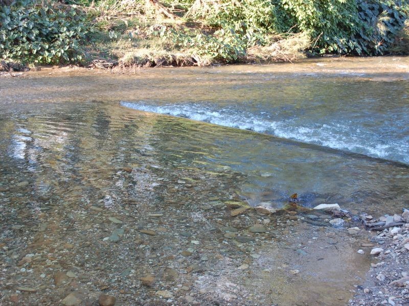 4531 Taylors Arm Rd, Thumb Creek NSW 2447