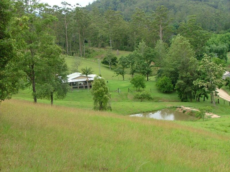 4531 Taylors Arm Rd, Thumb Creek NSW 2447