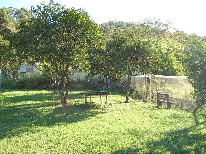 4531 Taylors Arm Rd, Thumb Creek NSW 2447