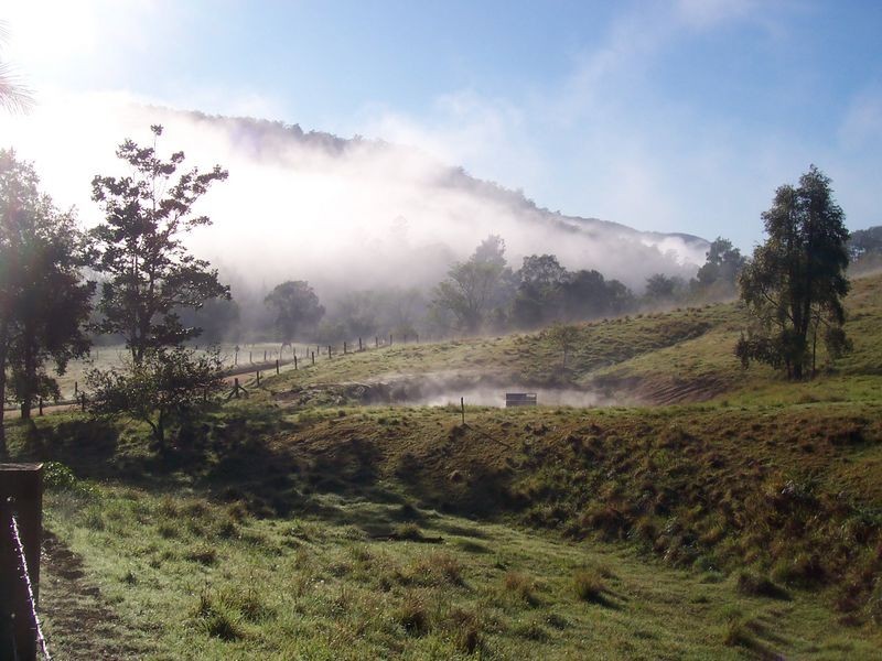 4531 Taylors Arm Rd, Thumb Creek NSW 2447