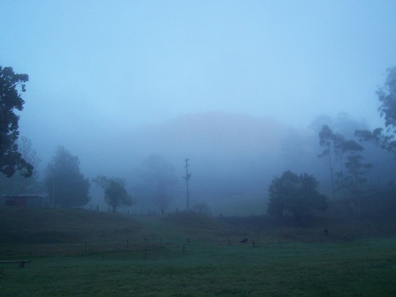 4531 Taylors Arm Rd, Thumb Creek NSW 2447