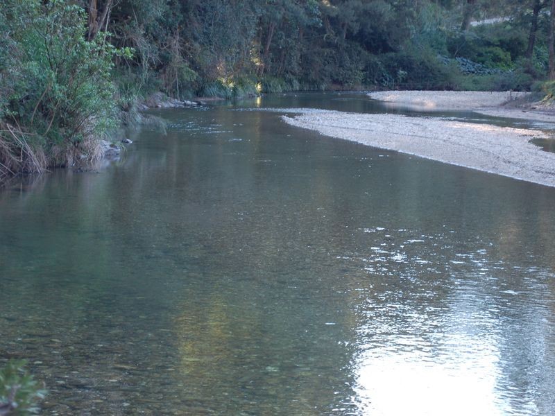 4531 Taylors Arm Rd, Thumb Creek NSW 2447