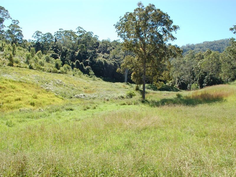 534 Missabotti Road, Missabotti NSW 2449