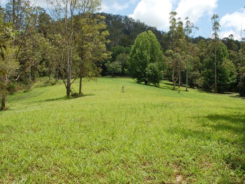 592 Gordonville Road, Bellingen NSW 2454