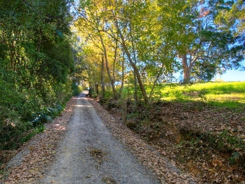 319 North Bank Road, Bellingen NSW 2454