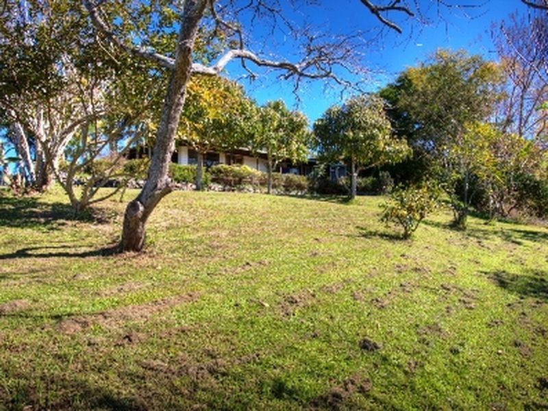 319 North Bank Road, Bellingen NSW 2454