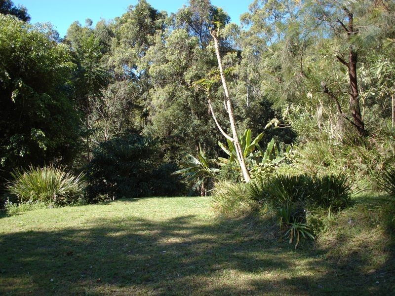 28 Martin  Rd, Bellingen NSW 2454