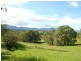 1383 Waterfall Way, Bellingen NSW 2454
