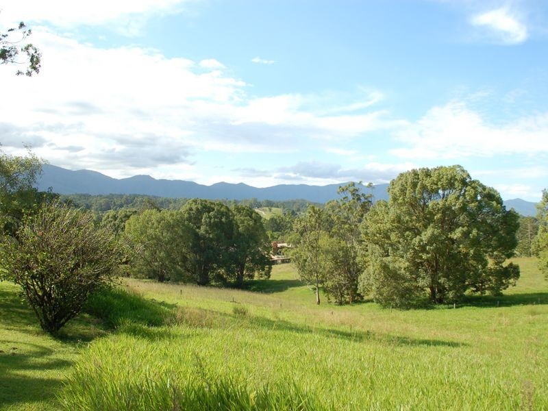 1383 Waterfall Way, Bellingen NSW 2454