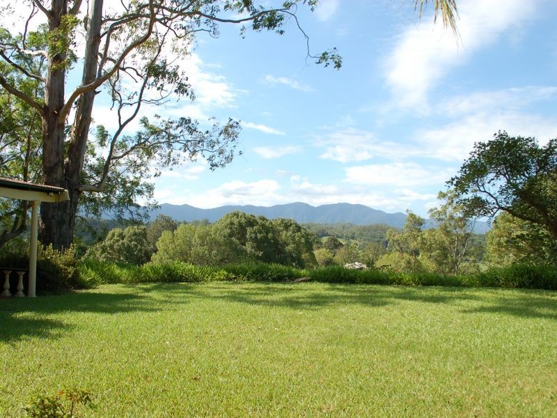1383 Waterfall Way, Bellingen NSW 2454