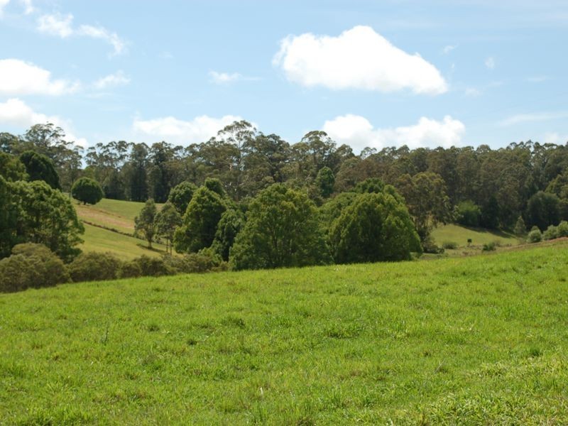 362 Bellingen Road, Bowraville NSW 2449