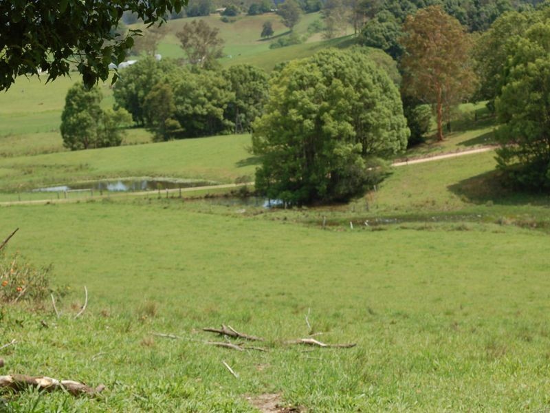 362 Bellingen Road, Bowraville NSW 2449