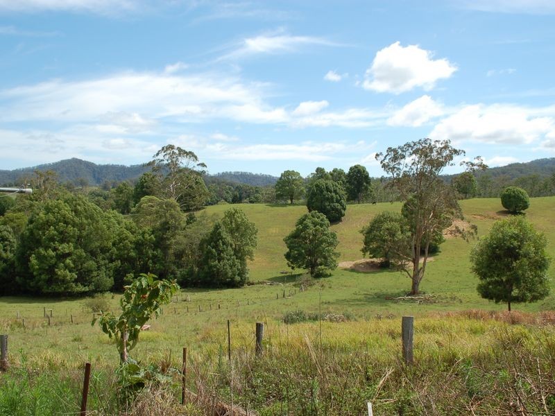 362 Bellingen Road, Bowraville NSW 2449