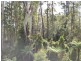 Lot 23 Lower Bo Bo Road, Ulong NSW 2450