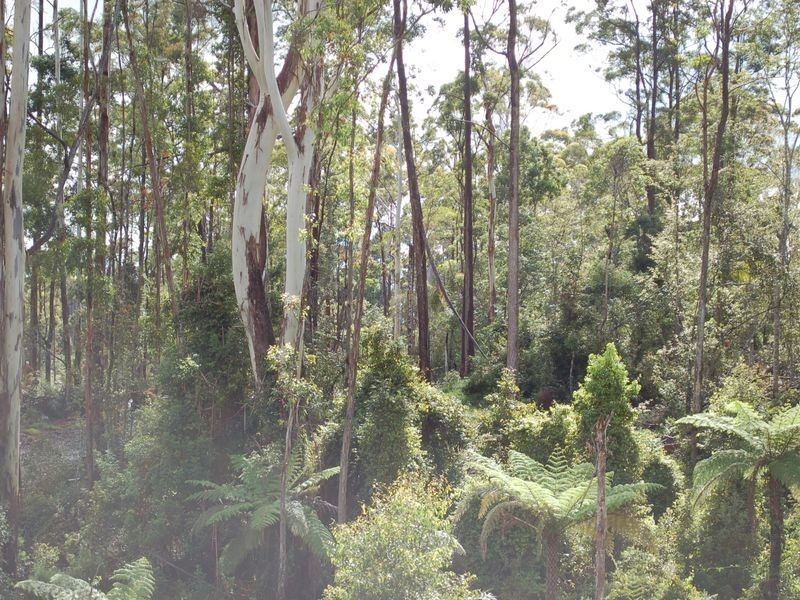 Lot 23 Lower Bo Bo Road, Ulong NSW 2450