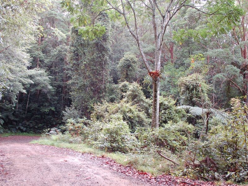 Lot 23 Lower Bo Bo Road, Ulong NSW 2450