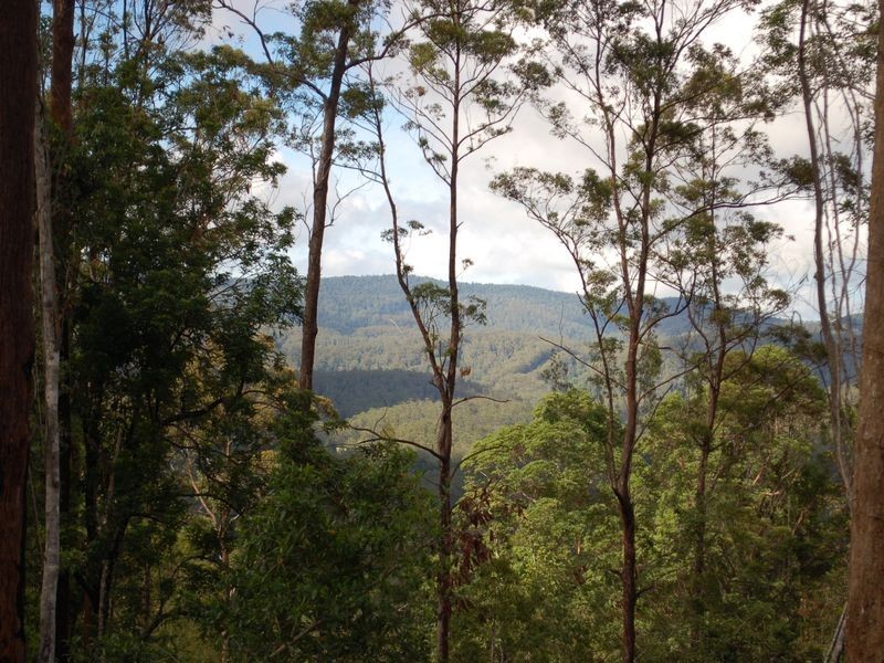 Lot 23 Lower Bo Bo Road, Ulong NSW 2450