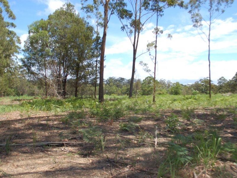 LOT 2/175 Stuarts Point Road, Barraganyatti NSW 2441