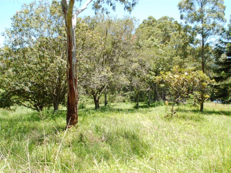 11 Gordon Road, Raleigh NSW 2454