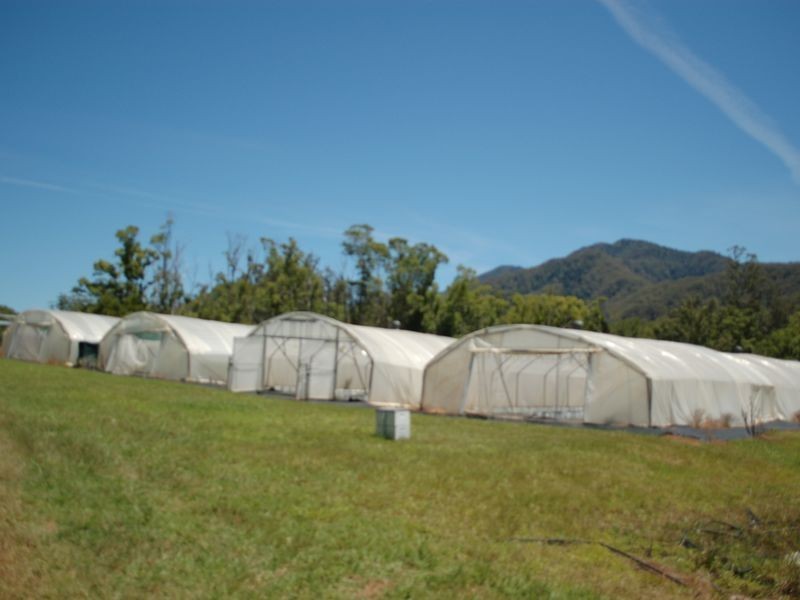 1072 Valery road, Valery NSW 2454