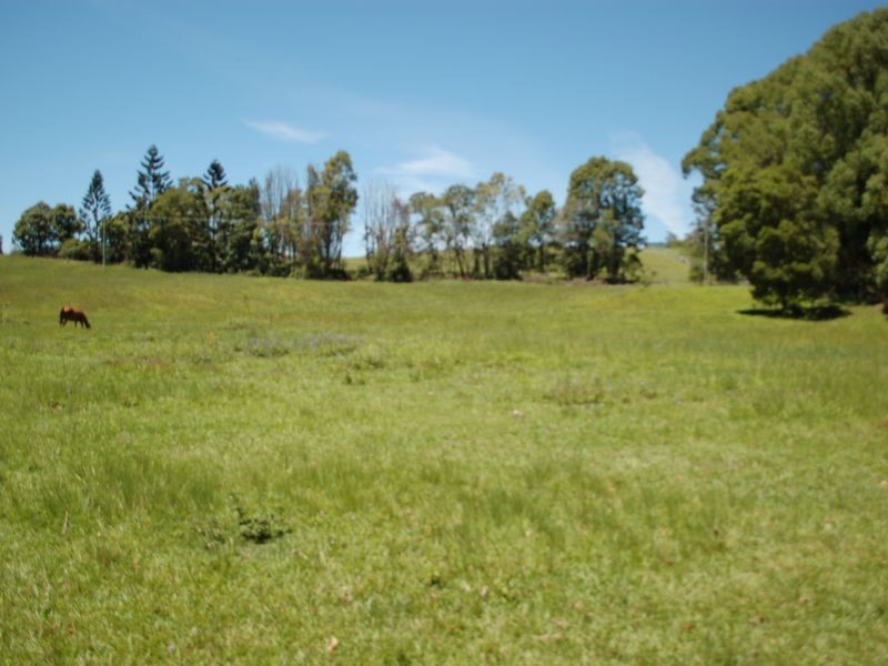 1072 Valery road, Valery NSW 2454