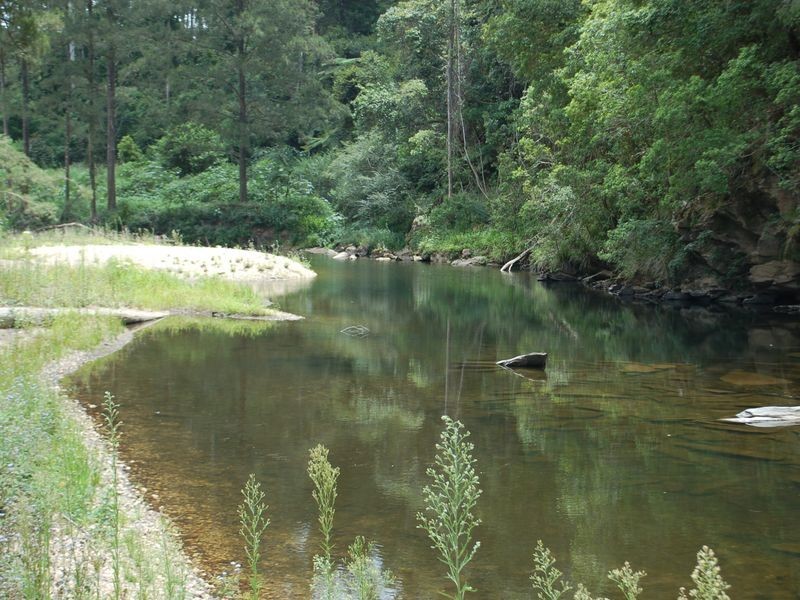 606 Kalang Road, Bellingen NSW 2454