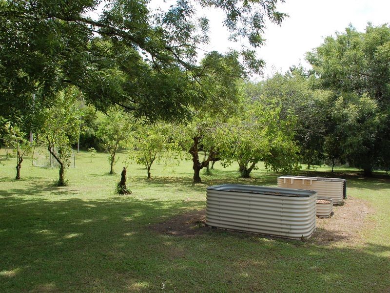 606 Kalang Road, Bellingen NSW 2454