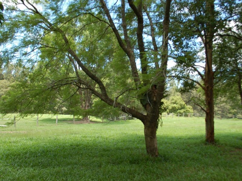 606 Kalang Road, Bellingen NSW 2454