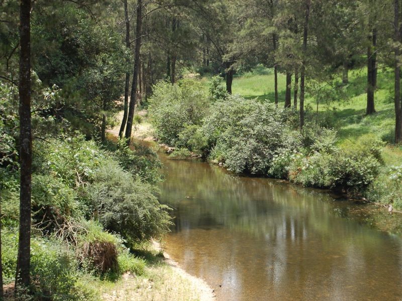 606 Kalang Road, Bellingen NSW 2454