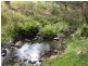 8031 Armidale Road, Dundurrabin NSW 2453