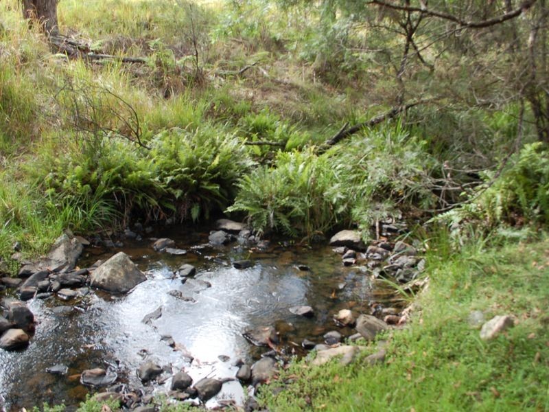 8031 Armidale Road, Dundurrabin NSW 2453