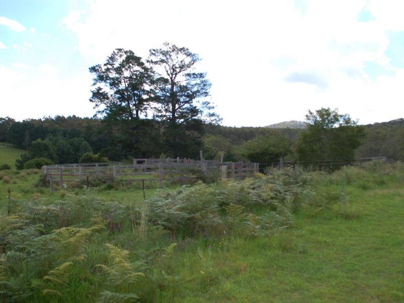 8031 Armidale Road, Dundurrabin NSW 2453