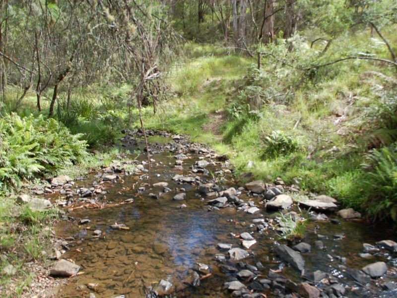 8031 Armidale Road, Dundurrabin NSW 2453