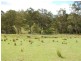 8031 Armidale Road, Dundurrabin NSW 2453