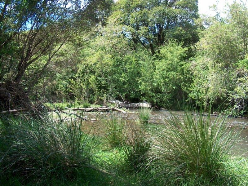 521 Muldiva Road, Bostobrick NSW 2453