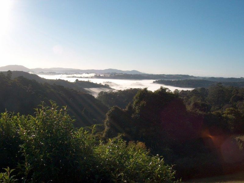 521 Muldiva Road, Bostobrick NSW 2453