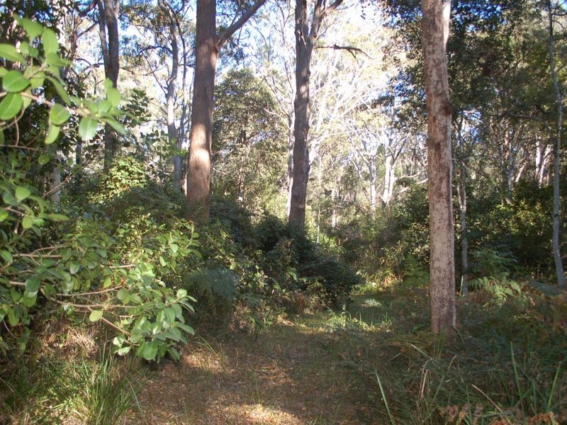 18 Wiri Place, Urunga NSW 2455