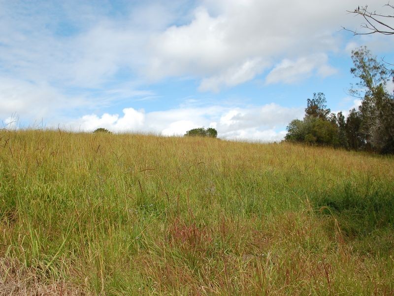 Lot 80 Pacific Highway, Urunga NSW 2455