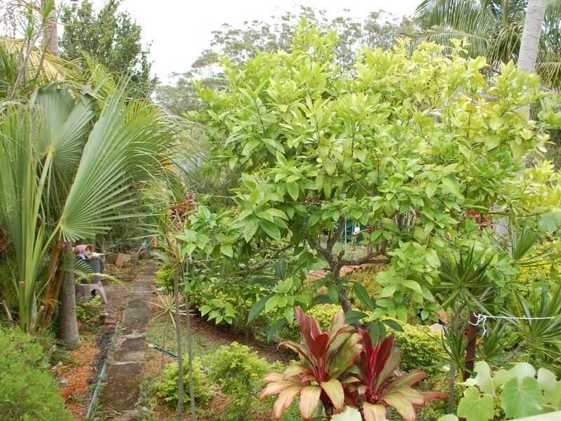 45 High Street, Urunga NSW 2455