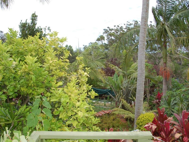 45 High Street, Urunga NSW 2455