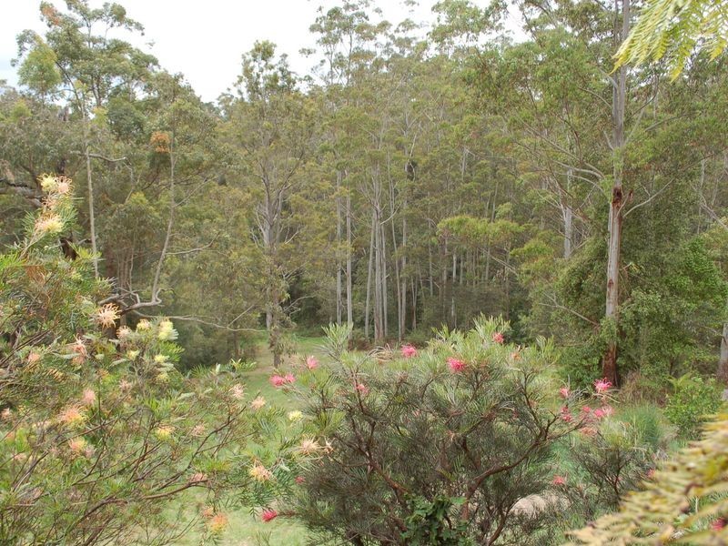 55 McDougall Place, Fernmount NSW 2454