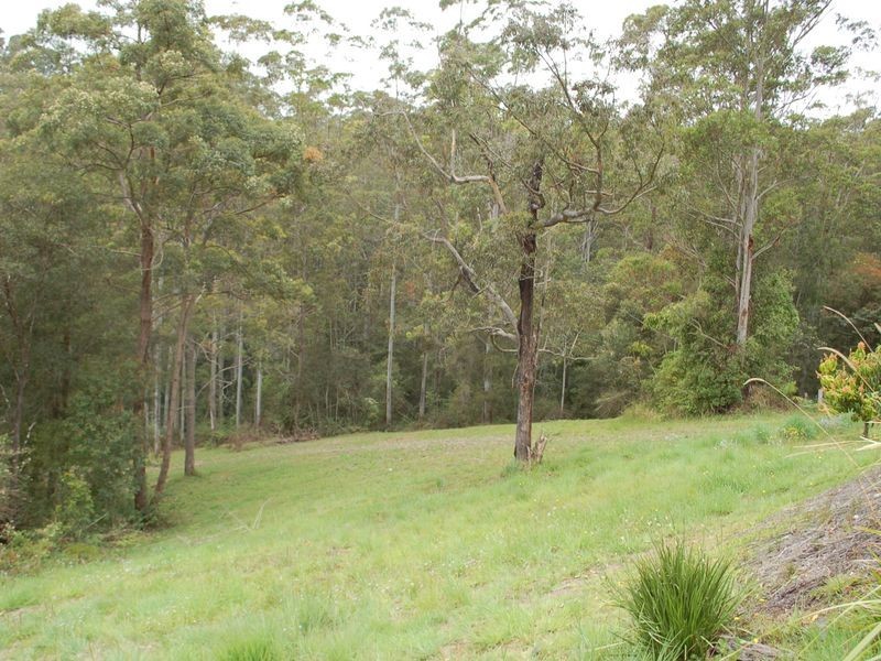 55 McDougall Place, Fernmount NSW 2454